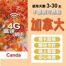 加拿大網卡 (每日型吃到飽), 1個, 5天, 每日1GB 超過降速吃到飽