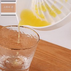 연은마트 수동 착즙기 과일프레스, 화이트
