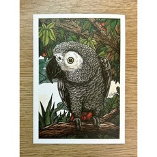 鸚鵡小木屋 灰鸚鵡明信片 可愛動物造型 創意卡片 節日祝福 溫馨禮品, 1個
