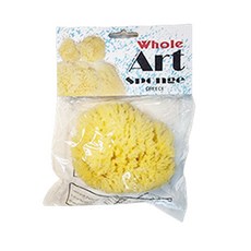 천연해면 (거친) 12~14cm 1개입 미술놀이 W82-12 chl+122xU