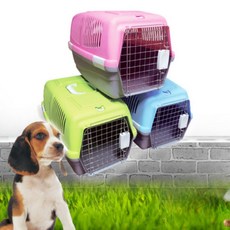 차량용 캔넬 고양이 이동장 M 강아지 하드 더블도어 비행기가방 81803pc 1(ea), 그린