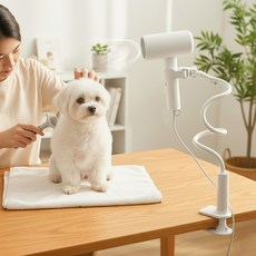 앙플러스 핸즈프리 강아지 헤어 드라이기 거치대, 1개, 화이트