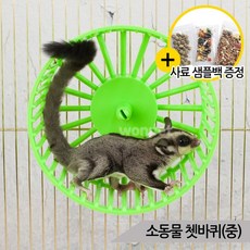 소동물 쳇바퀴 중형 K-41 다람쥐바퀴 햄스터쳇바퀴, 단품없음
