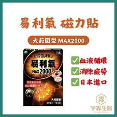 易利氣 磁力貼 大範圍型 MAX2000 促進血液循環 消除疲勞 日本進口, 1個, 易利氣磁力貼大範圍型12粒
