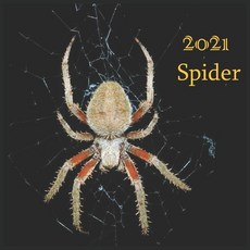 Spider: Spider:2021 Wall & Office Calendar 12 Month Calendar Paperback, Independently Published