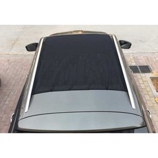 訂制 全景天窗 各種尺寸 磁吸防蚊紗網 透氣防蚊紗網車宿車泊