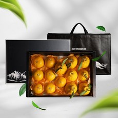 한라봉 천혜향 혼합 3kg 중과 추석 설 명절 선물세트, 단품