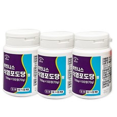 휘트니스 식염포도당 정 100정, 3개