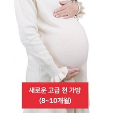 가짜배 모형 임산부 임신 만삭 복대 분장 실리콘 임신체험 교육 학습, 1개, B. 고급 천가방 8~10개월/쌍둥이 5~7개월
