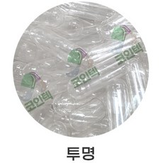 코인텍 식물성공캡슐 100개 500mg 백색/투명