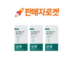 마그네슘350 B6 약국 마그네슘 영양제 신경 근육 기능 유지에 도움, 90회분, 3박스
