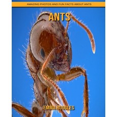 Ants: Amazing Photos and Fun Facts about Ants Paperback, Independently Published