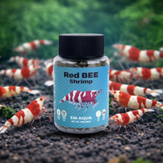 체리새우 노랭이새우 블루새우 CRS새우 야마토새우 먹이 새우사료, 1개, 90ml