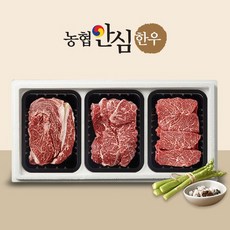 [작심밀도]농협안심한우 1++ 등심200g + 채끝200g + 특수부위200g (치마업진 랜덤) / 냉장, 1
