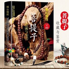 悟心悟性-菩提子收藏與鑑賞 正版古玩鑑賞與鑑別 玩物鑑賞個人收【椰子圖書 】, 菩提子收藏與鑑賞