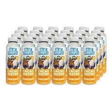 Blue Stripes 카카오 워터 전해질 항산화 물질이 함유된 냉압착 슈퍼프루트 수분 공급 설탕 첨가 없음 자연 추출물 성분 단백질 쉐이크 스무디에 카카오만 포함 24팩 26, 저스트 카카오, 296ml