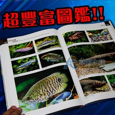 AC草影 西非短鯛普拉斯 觀賞魚圖鑑書籍