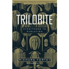 (영문도서) Trilobite: Eyewitness to Evolution Paperback, Vintage, English, 9780375706219