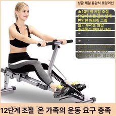 에스앤씨 로잉머신 조정 실내 유산소 노젓기 가정용, 표준 10단계저항 1단계 단일트랙, 기본 모델명/품번