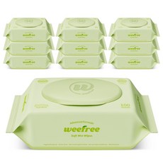 위프리 소프트 그린 아기물티슈 캡형, 10개, 100매, 50g
