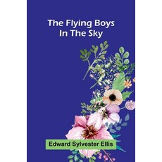 (英文圖書)The Flying Boys in the Sky 平裝版, Alpha Edition, 英文