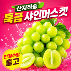 [대형마트특품] 초고당도 씨없는포도 청포도 샤인머스캣, 1박스, 특급 샤인 1kg