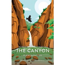 (英文圖書)The Canyon 平裝版, Atmosphere Press, 英文