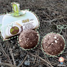 사이언스존 [탄소중립-커피박씨드밤 1인용] 과학실험키트 학습교구세트, 1개