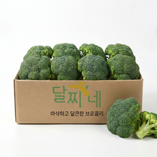 [타임특가] 달찌네 특품 브로콜리, 1박스, 1kg