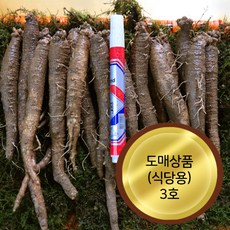 강원도 횡성 햇더덕 수확 가정용 3호(1kg) 어사매횡성더덕영농조합법인, 1박스, 1kg