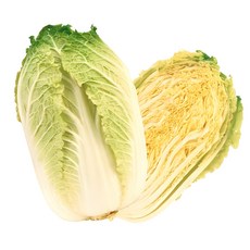 쌈배추 알배기 배추, 1박스, 01_쌈배추 2통