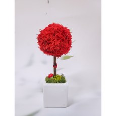 공기정화식물 스칸디아모스 토피어리 만들기 diy 키트 단체수업 원예수업 어린이 수업재료, 사용함, 레드