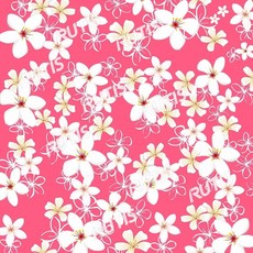 TS 花草0117油桐花蝶谷巴特餐巾紙，藝術紙餐巾，精美花草圖案，粉底色系, 1個, 22.5x22.5