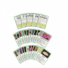 생물 분류 카드 1팩 (30장)/생물 과학 실험 재료