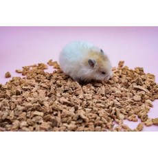 【3隻貓】勞叔粒賀軟木粒 倉鼠墊料 倉鼠造景墊料, 1個, 大顆粒500g, 500g