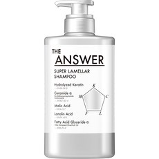 THE ANSWER 더앤서 슈퍼 라멜라 샴푸 손상모 케어 단백질 윤기 보습 일본직배송, 1개, 400ml