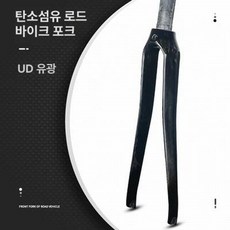 포크 풀카본 픽시자전거 출퇴근 싱귤러리티 트랙, 1개, 표시 없는 UD 랜덤 370g B