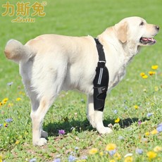 狗狗護肘 寵物前腿關節保護套, 1個, 黑色右腿透氣面料 大碼有透氣內膽 ,9.5-13胸圍30-40臂長8.5CM
