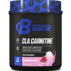 Bodybuilding CLA左旋肉鹼西瓜雪酪口味, 1個, 270g