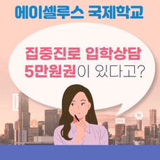 미국학교 집중진로 입학상담 5만원권, 쿠팡 본상품선택