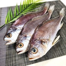 반건조 조기 굴비 반건조 생선 침조기 직접 손질되어 먹기 편한 신안 천일염으로 간이 된 긴가이석태 반찬용 6마리 또는 10마리, 1개, 27cm(6마리)