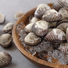 벌교 꼬막 당일조업 채취 새꼬막 피꼬막 1kg 3kg 5kg 산지직송 꼬막까기 증정, 5kg(새꼬막, 특품), 1개
