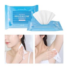 아트박스/리르 (1+1+1) 리르 데오드란트 퍼퓸티슈 15매(총45매)