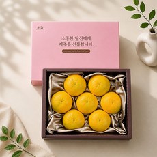 이제주 과즙가득 황금향 선물세트 1.5kg 8과 내외 보자기포장, 1세트