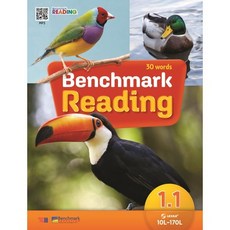 Benchmark Reading 1.1, YBM
