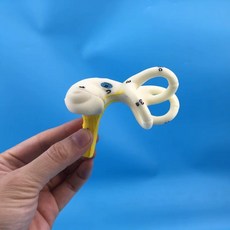 세반고리관 귀세관 인체구조 인체 모형 달팽이관 교육보조도구, A. 인간 귀의 반고리관 달팽이관 반고리관 해