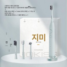 누마 전동칫솔 플라그제거 어르신 회전 깔끔 선물 음파진동, 스탠다드카이블루음파