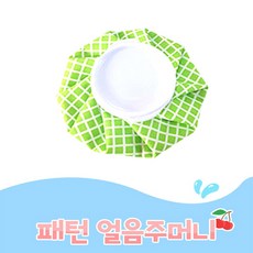프리미엄 냉 찜질주머니 아이스팩 12인치, 1개