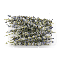 프리저브드 드라이플라워 8종, 라벤더 10g