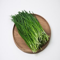 신선계절가 국내산 제철 햇 부추, 1개, 500g